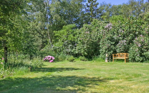 Hartvig - 800M from the Sea: Legna, Casa, Portico, Deck, Latifoglie, Tetto, Color Legno, Pavimento In Legno, Eco Hotel