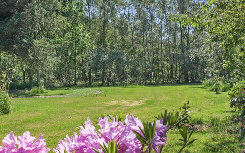 Hartvig - 800M from the Sea: Legna, Casa, Portico, Deck, Latifoglie, Tetto, Color Legno, Pavimento In Legno, Eco Hotel