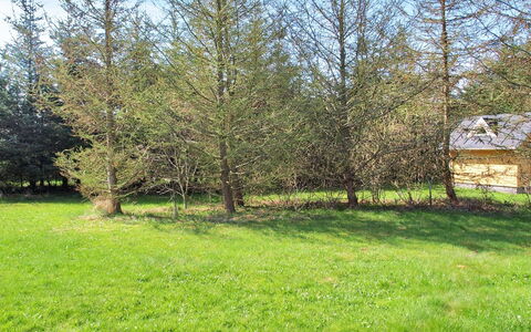 Eljena - 600M from the Sea: Albero, Foglia, Larice, Woody Impianto, Prato, Pascolo, Woodland, Prato