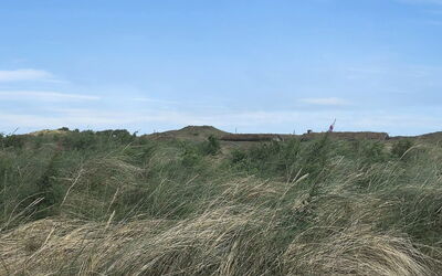 Gerulf - 600M from the Sea