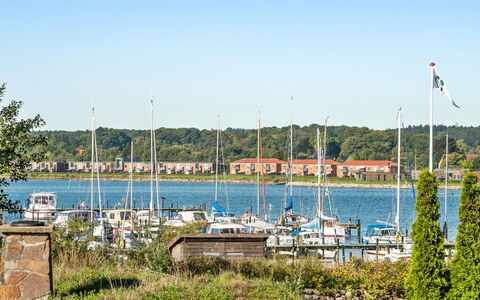 Joris - 100M to the Fjord: Corpo D'Acqua, Barca, Moto D'Acqua, Marina, Waterway, Costiera E Morfologie Oceanic, Barche E Nautica - Macchine E Materiali, Albero, Mare, Costa