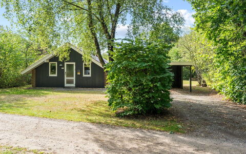 Pance - 20Km to the Fjord: Tetto, Casa, Casa, Villetta, Porta, Raccordo, Deck, Portico, Plank, Latifoglie