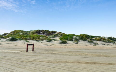 Apostol - 500M from the Sea: Blu, Arbusto, Villetta, Groundcover, Giardino, Estate, Shade, Landscaping, Agriturismo, Eco Hotel
