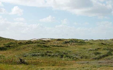 Apostol - 500M from the Sea: Blu, Arbusto, Villetta, Groundcover, Giardino, Estate, Shade, Landscaping, Agriturismo, Eco Hotel