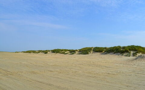 Apostol - 500M from the Sea: Blu, Arbusto, Villetta, Groundcover, Giardino, Estate, Shade, Landscaping, Agriturismo, Eco Hotel