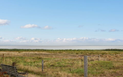 Baltser - 5Km from the Sea