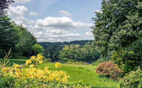 Penguilly: Cielo, Nube, Pianta, Comunita 'Impianto, Fiore, Ecoregione, Paesaggio Naturale, Albero, Vegetazione