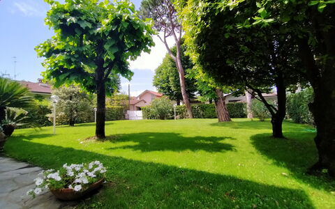 Villa Martino: Acqua, Pianta, Nube, Costruzione, Cielo, Proprietà, Piscina, Azzurro, Shade, Rettangolo
