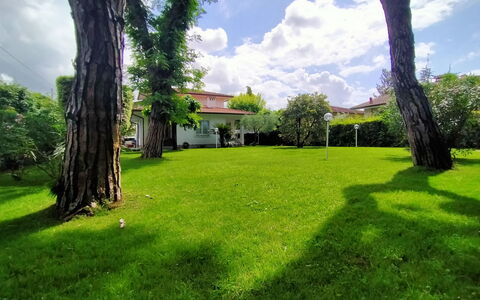Villa Martino: Acqua, Pianta, Nube, Costruzione, Cielo, Proprietà, Piscina, Azzurro, Shade, Rettangolo