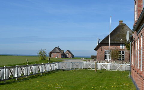 Adine - 13Km from the Sea: Blu, Arbusto, Villetta, Groundcover, Giardino, Estate, Shade, Landscaping, Agriturismo, Eco Hotel