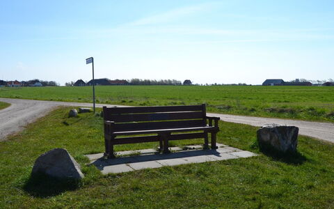 Adine - 13Km from the Sea: Blu, Arbusto, Villetta, Groundcover, Giardino, Estate, Shade, Landscaping, Agriturismo, Eco Hotel