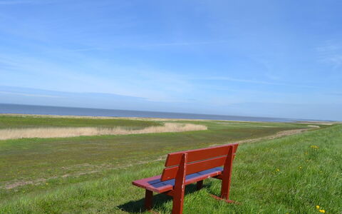 Adine - 13Km from the Sea: Blu, Arbusto, Villetta, Groundcover, Giardino, Estate, Shade, Landscaping, Agriturismo, Eco Hotel