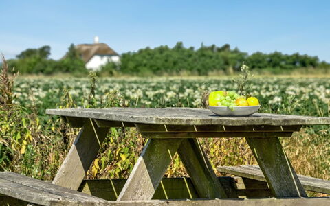 Ejna: Blu, Arbusto, Villetta, Groundcover, Giardino, Estate, Shade, Landscaping, Agriturismo, Eco Hotel