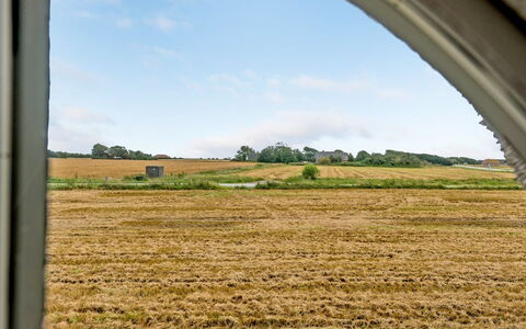 Clausina - 600M from the Sea: Blu, Arbusto, Villetta, Groundcover, Giardino, Estate, Shade, Landscaping, Agriturismo, Eco Hotel