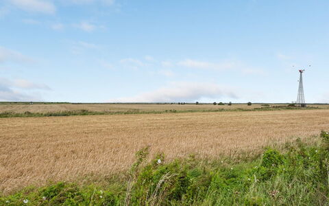 Clausina - 600M from the Sea: Blu, Arbusto, Villetta, Groundcover, Giardino, Estate, Shade, Landscaping, Agriturismo, Eco Hotel