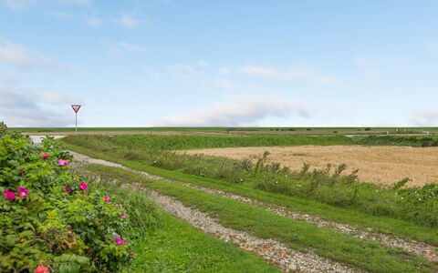 Clausina - 600M from the Sea: Blu, Arbusto, Villetta, Groundcover, Giardino, Estate, Shade, Landscaping, Agriturismo, Eco Hotel