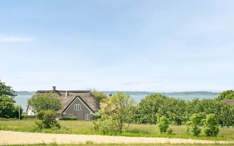 Iina - 13Km from the Sea: Blu, Arbusto, Villetta, Groundcover, Giardino, Estate, Shade, Landscaping, Agriturismo, Eco Hotel