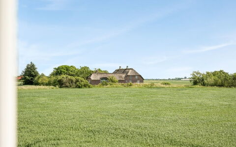 Iina - 13Km from the Sea: Blu, Arbusto, Villetta, Groundcover, Giardino, Estate, Shade, Landscaping, Agriturismo, Eco Hotel