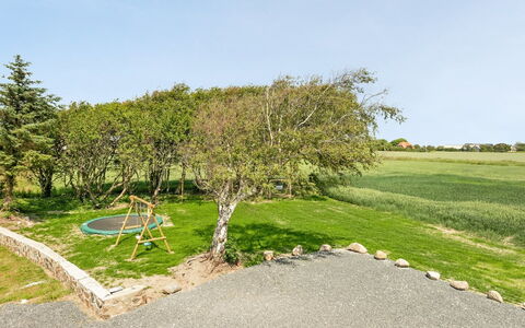 Iina - 13Km from the Sea: Erba, Arbusto, Lotto, Giardino, Woody Impianto, Prato, Landscaping, Shade, Cortile