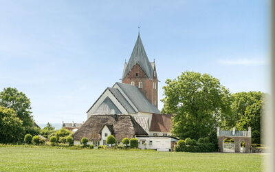 Iina - 13Km from the Sea