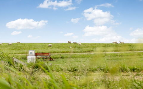 Anthonie: Erba, Pascolo, Paesaggio, Ecoregione, Plain, Comunita 'Impianto, Lotto, Mobili Da Esterno, Prateria, Shrubland