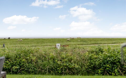 Anthonie: Erba, Pascolo, Paesaggio, Ecoregione, Plain, Comunita 'Impianto, Lotto, Mobili Da Esterno, Prateria, Shrubland