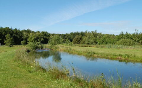 Jani - 25Km from the Sea: Acqua, Corpo D'Acqua, Risorse Idriche, Ambiente Naturale, Palude, Pascolo, Paesaggio Naturale, Alveo, Banca