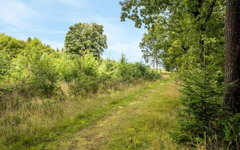 Rasmus - 29Km from the Sea: Zona Residenziale, Tetto, Sobborgo, Driveway, Estate, Camino