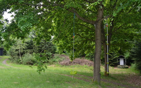 Josina - 32Km from the Sea: Foglia, Albero, Ramo, Tronco, Riserva Naturale, Woody Impianto, Prato, Giardino, Woodland, Shade