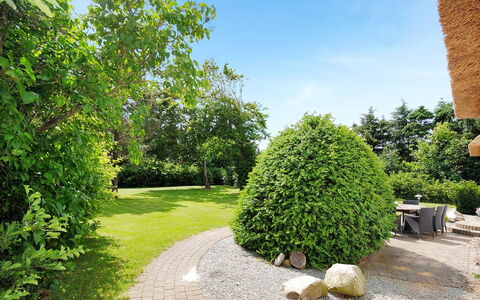 Fintan - 2Km to the Fjord: Verde, Foglia, Arbusto, Giardino, Groundcover, Hedge, Woody Impianto, Landscaping, Prato, Shade