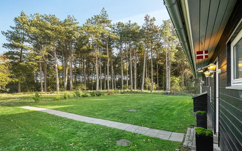 Elfriede - 400M to the Fjord: Erba, Verde, Arbusto, Giardino, Lotto, Prato, Groundcover, Shade, Landscaping, Cortile