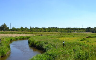 Herman - 22Km from the Sea