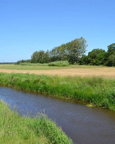 Herman - 22Km from the Sea