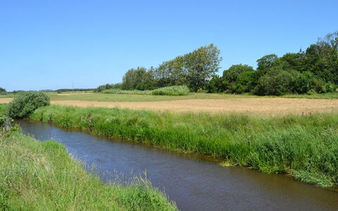 Esja - 22Km from the Sea: Risorse Idriche, Corpo D'Acqua, Erba, Ambiente Naturale, Paesaggio Naturale, Waterway, Alveo, Palude, Banca