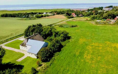Thorarin - 25Km from the Sea: Erba, Pascolo, Paesaggio, Ecoregione, Plain, Comunita 'Impianto, Lotto, Mobili Da Esterno, Prateria, Shrubland
