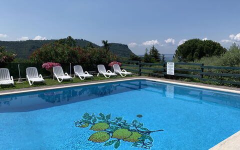 Garda 54: Acqua, Cielo, Piscina, Nube, Azzurro, Rettangolo, Mobili Da Esterno, Albero, Pianta, Tempo Libero