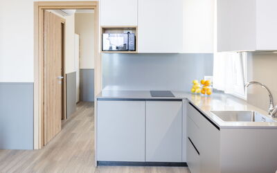Panorama 54.2: Lavandino Della Cucina, Cabinetry, Lavello, Controsoffitto, Rubinetto, Costruzione, Idraulico Fixture, Cucina, Legna