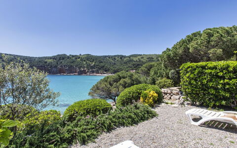 Port del Rei Ii: Acqua, Cielo, Pianta, Proprietà, Natura, Paesaggio Naturale, Lago, Albero, Paesaggio, Immobiliare