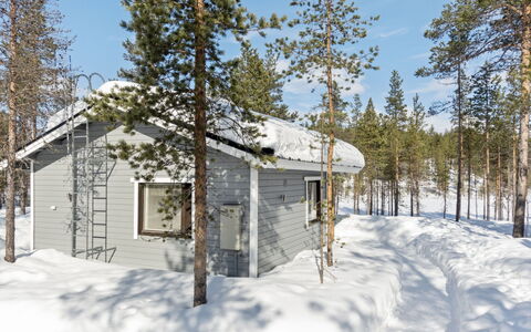 Riekko: Legna, Inverno, Neve, Casa, Casa, Villetta, Congelamento, Raccordo, Pendenza, Larice