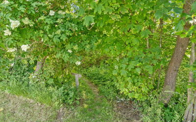 Dvonta - 170M from the Sea