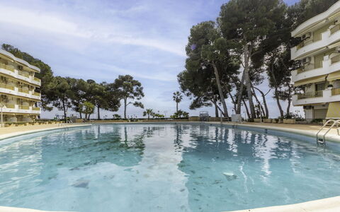 International: Acqua, Cielo, Costruzione, Finestra, Nube, Piscina, Albero, Tempo Libero, Materiale Composito