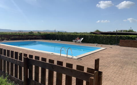 Lavender: Acqua, Cielo, Pianta, Nube, Piscina, Rettangolo, Shade, Albero, Costruzione, Erba