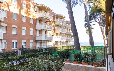 Txingudi: Costruzione, Giorno, Cielo, Pianta, Albero, Arecales, Recinzione, Impianto Terrestre, Urban Design, Woody Impianto