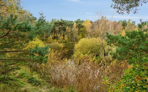 Menke - 150M from the Sea: Tetto, Casa, Lotto, Casa, Villetta, Estate, Edifici Giardino, Shade, Log Cabin, Landscaping