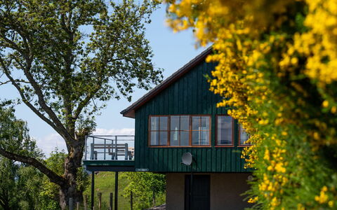 Drumnadrochit 121: Pianta, Cielo, Proprietà, Costruzione, Natura, Foglia, Paesaggio Naturale, Fiore, Albero, Giallo
