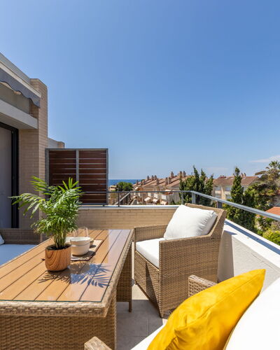 Palmera Dels Munts