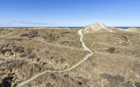 Solunka - 100M from the Sea: Ecoregione, Paesaggio, Terreno, Comunita 'Impianto, Natura Selvaggia, Shrubland, Geologia, Trail, Pendenza, Chaparral