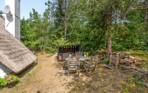 Olaf - 1.4Km from the Sea: Vegetazione, Arbusto, Lotto, Villetta, Area Rurale, Giardino, Thatching, Shade, Backyard, Villaggio