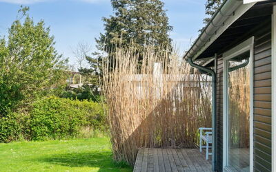 Bassi - 650M from the Sea