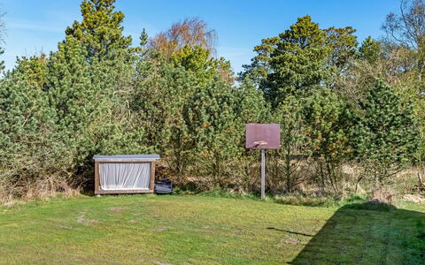 Agnesa - 1.5Km from the Sea: Erba, Albero, Foglia, Ambiente Naturale, Arbusto, Paesaggio, Lotto, Pascolo, Plain, Area Rurale